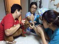 聊城众英金属材料有限公司