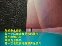 聊城众英金属材料有限公司