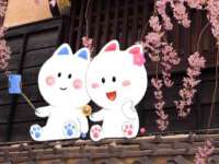 聊城众英金属材料有限公司