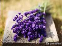 聊城众英金属材料有限公司