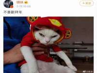 聊城众英金属材料有限公司