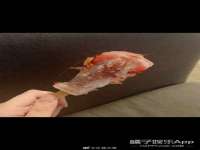 聊城众英金属材料有限公司
